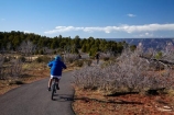 America;American-Southwest;Arizona;AZ;bicycle;bicycles;bike;bike-track;bike-tracks;bike-trail;bike-trails;bikes;boy;boys;canyon;canyons;Colorado-Plateau;Colorado-Plateau-Province;cycle;cycle-track;cycle-tracks;cycle-trail;cycle-trails;cycler;cyclers;cycles;cycleway;cycleways;cyclist;cyclists;excercise;excercising;Gran-CaÃ±Ã³n;Grand-Canyon;Grand-Canyon-National-Park;Grand-Canyon-South-Rim;male;males;mountain-bike;mountain-biker;mountain-bikers;mountain-bikes;mtn-bike;mtn-biker;mtn-bikers;mtn-bikes;Ongtupqa;people;person;push-bike;push-bikes;push_bike;push_bikes;pushbike;pushbikes;Rim-Trail;South-Rim;South-Rim-Grand-Canyon;South-Rim-Trail;South-west-United-States;South-west-US;South-west-USA;South-western-United-States;South-western-US;South-western-USA;Southwest-United-States;Southwest-US;Southwest-USA;Southwestern-United-States;Southwestern-US;Southwestern-USA;States;Sth-Rim;The-Grand-Canyon;the-Southwest;tourism;tourist;tourists;U.S.A;UN-world-heritage-area;UN-world-heritage-site;UNESCO-World-Heritage-area;UNESCO-World-Heritage-Site;united-nations-world-heritage-area;united-nations-world-heritage-site;United-States;United-States-of-America;USA;Wi:kai:la;world-heritage;world-heritage-area;world-heritage-areas;World-Heritage-Park;World-Heritage-site;World-Heritage-Sites