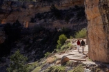 America;American-Southwest;Arizona;AZ;Bright-Angel-Track;Bright-Angel-Trail;Colorado-Plateau;Colorado-Plateau-Province;Gran-Cañón;Grand-Canyon;Grand-Canyon-National-Park;Grand-Canyon-South-Rim;hiker;hikers;hiking-path;hiking-paths;hiking-track;hiking-tracks;hiking-trail;hiking-trails;Ongtupqa;path;paths;pathway;pathways;people;person;route;routes;South-Rim;South-Rim-Grand-Canyon;South-west-United-States;South-west-US;South-west-USA;South-western-United-States;South-western-US;South-western-USA;Southwest-United-States;Southwest-US;Southwest-USA;Southwestern-United-States;Southwestern-US;Southwestern-USA;States;Sth-Rim;The-Grand-Canyon;the-Southwest;tourism;tourist;tourists;track;tracks;trail;trails;tramping-track;tramping-tracks;tramping-trail;tramping-trails;U.S.A;UN-world-heritage-area;UN-world-heritage-site;UNESCO-World-Heritage-area;UNESCO-World-Heritage-Site;united-nations-world-heritage-area;united-nations-world-heritage-site;United-States;United-States-of-America;USA;walker;walkers;walking-path;walking-paths;walking-track;walking-tracks;walking-trail;walking-trails;walkway;walkways;Wi:kai:la;world-heritage;world-heritage-area;world-heritage-areas;World-Heritage-Park;World-Heritage-site;World-Heritage-Sites