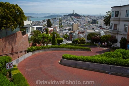 America;American;Bay-Area;CA;California;Crookedest-Street;crookedest-street-in-the-world;hairpin-bend;hairpin-bends;hairpin-corner;hairpin-corners;hairpin-turn;hairpin-turns;Lombard-St;Lombard-Street;Russian-Hill;San-Francisco;San-Francisco-Bay;San-Francisco-Bay-Area;States;steep;steep-street;steep-streets;switchback;switchback-road;switchback-roads;switchbacks;U.S.A;United-States;United-States-of-America;USA;West-Coast;West-United-States;West-US;West-USA;Western-United-States;Western-US;Western-USA;world’s-crookedest-street;zig-zag;zig-zag-road;zig-zag-roads;zig-zag-street;zig-zag-streets;zig-zags;zig_zag;zig_zag-road;zig_zag-roads;zig_zag-street;zig_zag-streets;zig_zags;zigzag;zigzag-road;zigzag-roads;zigzag-street;zigzag-streets;zigzags