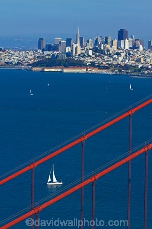 America;American;Bay-Area;bridge;bridges;c.b.d.;CA;California;California-SR-1;California-State-Route-1;CBD;central-business-district;cities;city;city-centre;cityscape;cityscapes;down-town;downtown;downtown-San-Francisco;Golden-Gate;Golden-Gate-strait;Golden-Gate-straits;high-rise;high-rises;high_rise;high_rises;highrise;highrises;Icon;Iconic;infrastructure;Landmark;Landmarks;multi_storey;multi_storied;multistorey;multistoried;office;office-block;office-blocks;office-building;office-buildings;offices;road-bridge;road-bridges;sail-boat;sail-boats;sail_boat;sail_boats;sailboat;sailboats;San-Francisco;San-Francisco-Bay;San-Francisco-Bay-Area;San-Francisco-CBD;sky-scraper;sky-scrapers;sky_scraper;sky_scrapers;skyscraper;skyscrapers;States;suspension-bridge;suspension-bridges;tower-block;tower-blocks;traffic-bridge;traffic-bridges;transport;U.S.-Route-101;U.S.A;United-States;United-States-of-America;US-101;USA;West-Coast;West-United-States;West-US;West-USA;Western-United-States;Western-US;Western-USA;Wonder-of-the-Modern-World;Wonders-of-the-Modern-World;yacht;yachts