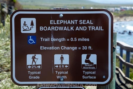 America;American;animal;animals;Big-Sur;CA;California;California-1;California-Central-Coast;California-State-Route-1;Central-Coast;coast;coastal;coasts;crowd;crowded;crowds;elephant-seal;Elephant-seal-colony;elephant-seals;mammal;mammals;marine-mammal;marine-mammals;Mirounga-angustirostris;Northern-Elephant-Seal;Pacific-Coast-Highway;Pacific-Coast-Road;Piedras-Blancas;Piedras-Blancas-elephant-seal-rookery;Piedras-Blancas-rookery;Point-Piedras-Blancas;rookeries;rookery;San-Simeon;seal;Seal-colony;Seal-rookery;seals;sign;signs;States;The-Big-Sur;The-Central-Coast;U.S.A;United-States;United-States-of-America;USA;West-Coast;West-United-States;West-US;West-USA;Western-United-States;Western-US;Western-USA;wildlife