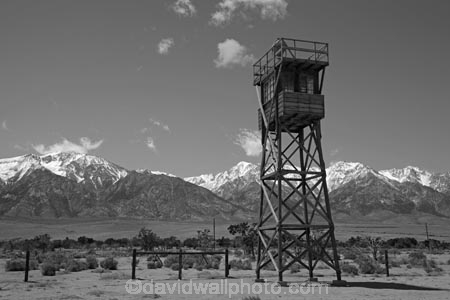 America;American;b-amp;-w;b-and-w;bamp;w;black-amp;-white;black-and-white;black_and_white;CA;California;gaol;gaols;gray;grey;Inyo-County;jail;jails;Japanese-American;Japanese-Americans;Lone-Pine;lookout-tower;lookout-towers;Manzanar-National-Historic-Site;Manzanar-Prison;Manzanar-Prison-Camp;Manzanar-War-Relocation-Center;monochromatic;monochrome;monochromic;monochromous;mountain;mountain-range;mountain-ranges;mountains-range;observation-tower;observation-towers;Owens-Valley;P.O.W-camp;P.O.W.-camps;POW-camp;POW-camps;prison;prison-camp;prison-camps;prisoner-of-war-camp;prisoner-of-war-camps;prisons;ranges;Sierra-Nevada;Sierra-Nevada-Mountain-Range;Sierra-Nevadas;snow;snow-capped;snow_capped;snowcapped;snowy;States;U.S.A;United-States;United-States-of-America;USA;watch-tower;watch-towers;watchtower;watchtowers;West-Coast;West-United-States;West-US;West-USA;Western-United-States;Western-US;Western-USA;wooden-tower;wooden-towers;WWII-prison-camp