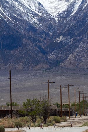 America;American;CA;California;gaol;gaols;Inyo-County;jail;jails;Japanese-American;line;lines;Lone-Pine;Manzanar-National-Historic-Site;Manzanar-Prison;Manzanar-Prison-Camp;Manzanar-War-Relocation-Center;mountain;mountain-range;mountain-ranges;mountains-range;Owens-Valley;P.O.W-camp;P.O.W.-camps;pole;poles;post;posts;POW-camp;POW-camps;power-line;power-lines;power-pole;power-poles;prison;prison-camp;prison-camps;prisoner-of-war-camp;prisoner-of-war-camps;prisons;ranges;Sierra-Nevada;Sierra-Nevada-Mountain-Range;Sierra-Nevadas;snow;snow-capped;snow_capped;snowcapped;snowy;States;telegraph-line;telegraph-lines;telegraph-pole;telegraph-poles;U.S.A;United-States;United-States-of-America;USA;West-Coast;West-United-States;West-US;West-USA;Western-United-States;Western-US;Western-USA;wire;wires;WWII-prison-camp