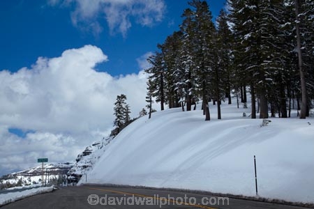 7990-feet;7990-ft;altitude;America;American;CA;California;Carson-Pass;Carson-Pass-Highway;Carson-Spur;cold;conifer;conifers;danger;dangerous;elevation-7990ft;forest;forests;icy-road;icy-roads;Kit-Carson-Pass;mountain;mountain-range;mountain-ranges;mountains-range;ranges;Sierra-Nevada;Sierra-Nevada-Mountain-Range;Sierra-Nevadas;slippery-road;slippery-roads;snow;snow-capped;snow_capped;snowcapped;snowy;spring;spring-time;spring_time;SR-88;State-Route-88;States;tree;trees;U.S.A;United-States;United-States-of-America;USA;West-Coast;West-United-States;West-US;West-USA;Western-United-States;Western-US;Western-USA;winter-driving