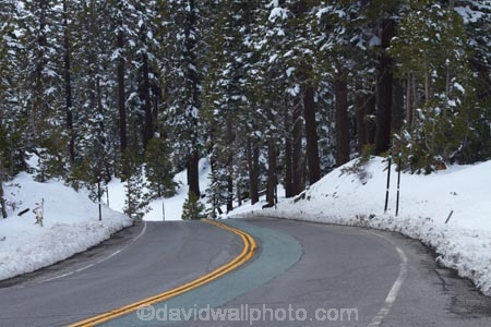 s-bend;s-bends;7990-feet;7990-ft;altitude;America;American;bend;bends;CA;California;Carson-Pass;Carson-Pass-Highway;Carson-Spur;cold;conifer;conifers;corner;corners;curve;curves;danger;dangerous;elevation-7990ft;forest;forests;icy-road;icy-roads;Kit-Carson-Pass;mountain;mountain-range;mountain-ranges;mountains-range;no-passing-line;no-passing-lines;ranges;road;roads;s-bend;s-bends;Sierra-Nevada;Sierra-Nevada-Mountain-Range;Sierra-Nevadas;slippery-road;slippery-roads;snow;snow-capped;snow_capped;snowcapped;snowy;spring;spring-time;spring_time;SR-88;State-Route-88;States;tree;trees;U.S.A;United-States;United-States-of-America;USA;West-Coast;West-United-States;West-US;West-USA;Western-United-States;Western-US;Western-USA;winter-driving