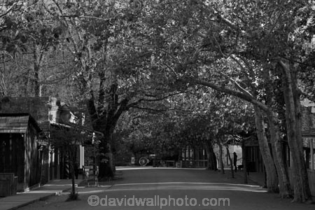 America;American;avenue;avenues;b-amp;-w;b-and-w;bamp;w;black-amp;-white;black-and-white;black_and_white;building;buildings;CA;California;Columbia;Columbia-State-Historic-Park;gray;green-tree;green-trees;grey;heritage;historic;historic-building;historic-buildings;historic-place;historic-places;historical;historical-building;historical-buildings;historical-place;historical-places;history;Main-St;Main-Street;mining-town;monochromatic;monochrome;monochromic;monochromous;National-Historic-Landmark;National-Register-of-Historic-Places;old;Sierra-Nevada-foothills;spring;spring-time;spring_time;States;tradition;traditional;tree;trees;Tuolumne-County;U.S.-historic-district;U.S.A;United-States;United-States-of-America;USA;West-Coast;West-United-States;West-US;West-USA;Western-United-States;Western-US;Western-USA