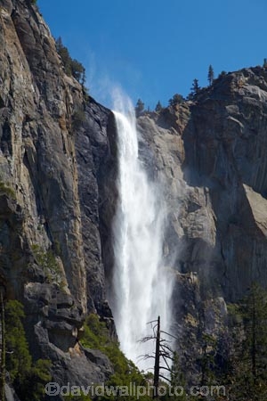 America;American;bluff;bluffs;Bridal-Veil-Fall;Bridal-Veil-Falls;Bridalveil-Creek;Bridalveil-Fall;Bridalveil-Falls;CA;California;cascade;cascades;cliff;cliffs;fall;falls;national-park;national-parks;natural;nature;scene;scenic;Sierra-Nevada;Sierra-Nevada-foothills;States;U.S.A;UN-world-heritage-area;UN-world-heritage-site;UNESCO-World-Heritage-area;UNESCO-World-Heritage-Site;united-nations-world-heritage-area;united-nations-world-heritage-site;United-States;United-States-of-America;USA;water;water-fall;water-falls;waterfall;waterfalls;West-Coast;West-United-States;West-US;West-USA;Western-United-States;Western-US;Western-USA;wet;world-heritage;world-heritage-area;world-heritage-areas;World-Heritage-Park;World-Heritage-site;World-Heritage-Sites;Yosemite;Yosemite-N.P.;Yosemite-Nat-Pk;Yosemite-National-Park;Yosemite-NP;Yosemite-Valley