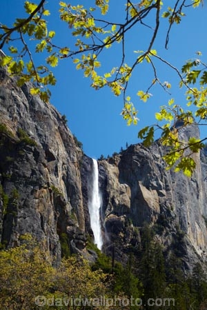 America;American;bluff;bluffs;Bridal-Veil-Fall;Bridal-Veil-Falls;Bridalveil-Creek;Bridalveil-Fall;Bridalveil-Falls;CA;California;cascade;cascades;cliff;cliffs;fall;falls;forest;forested;forests;national-park;national-parks;natural;nature;scene;scenic;Sierra-Nevada;Sierra-Nevada-foothills;States;tree;trees;U.S.A;UN-world-heritage-area;UN-world-heritage-site;UNESCO-World-Heritage-area;UNESCO-World-Heritage-Site;united-nations-world-heritage-area;united-nations-world-heritage-site;United-States;United-States-of-America;USA;water;water-fall;water-falls;waterfall;waterfalls;West-Coast;West-United-States;West-US;West-USA;Western-United-States;Western-US;Western-USA;wet;world-heritage;world-heritage-area;world-heritage-areas;World-Heritage-Park;World-Heritage-site;World-Heritage-Sites;Yosemite;Yosemite-N.P.;Yosemite-Nat-Pk;Yosemite-National-Park;Yosemite-NP;Yosemite-Valley
