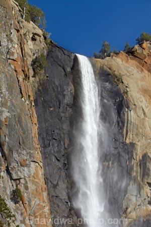 America;American;bluff;bluffs;Bridal-Veil-Fall;Bridal-Veil-Falls;Bridalveil-Creek;Bridalveil-Fall;Bridalveil-Falls;CA;California;cascade;cascades;cliff;cliffs;fall;falls;national-park;national-parks;natural;nature;scene;scenic;Sierra-Nevada;Sierra-Nevada-foothills;States;U.S.A;UN-world-heritage-area;UN-world-heritage-site;UNESCO-World-Heritage-area;UNESCO-World-Heritage-Site;united-nations-world-heritage-area;united-nations-world-heritage-site;United-States;United-States-of-America;USA;water;water-fall;water-falls;waterfall;waterfalls;West-Coast;West-United-States;West-US;West-USA;Western-United-States;Western-US;Western-USA;wet;world-heritage;world-heritage-area;world-heritage-areas;World-Heritage-Park;World-Heritage-site;World-Heritage-Sites;Yosemite;Yosemite-N.P.;Yosemite-Nat-Pk;Yosemite-National-Park;Yosemite-NP;Yosemite-Valley