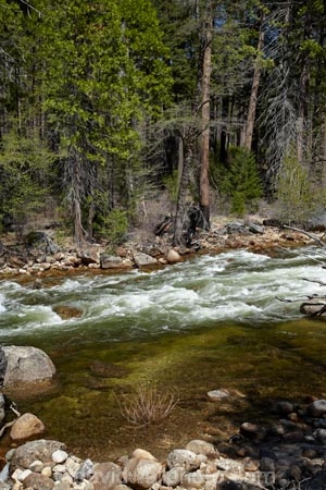 America;American;brook;brooks;CA;California;creek;creeks;forest;forested;forests;Merced-River;national-park;national-parks;river;rivers;Sierra-Nevada;Sierra-Nevada-foothills;States;stream;streams;tree;trees;U.S.A;UN-world-heritage-area;UN-world-heritage-site;UNESCO-World-Heritage-area;UNESCO-World-Heritage-Site;united-nations-world-heritage-area;united-nations-world-heritage-site;United-States;United-States-of-America;USA;water;West-Coast;West-United-States;West-US;West-USA;Western-United-States;Western-US;Western-USA;world-heritage;world-heritage-area;world-heritage-areas;World-Heritage-Park;World-Heritage-site;World-Heritage-Sites;Yosemite;Yosemite-N.P.;Yosemite-Nat-Pk;Yosemite-National-Park;Yosemite-NP;Yosemite-Valley