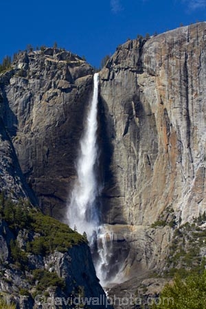 America;American;bluff;bluffs;CA;California;cascade;cascades;cliff;cliffs;fall;falls;national-park;national-parks;natural;nature;scene;scenic;Sierra-Nevada;Sierra-Nevada-foothills;States;U.S.A;UN-world-heritage-area;UN-world-heritage-site;UNESCO-World-Heritage-area;UNESCO-World-Heritage-Site;united-nations-world-heritage-area;united-nations-world-heritage-site;United-States;United-States-of-America;Upper-Yosemite-Fall;Upper-Yosemite-Falls;USA;water;water-fall;water-falls;waterfall;waterfalls;West-Coast;West-United-States;West-US;West-USA;Western-United-States;Western-US;Western-USA;wet;world-heritage;world-heritage-area;world-heritage-areas;World-Heritage-Park;World-Heritage-site;World-Heritage-Sites;Yosemite;Yosemite-Fall;Yosemite-Falls;Yosemite-N.P.;Yosemite-Nat-Pk;Yosemite-National-Park;Yosemite-NP;Yosemite-Valley