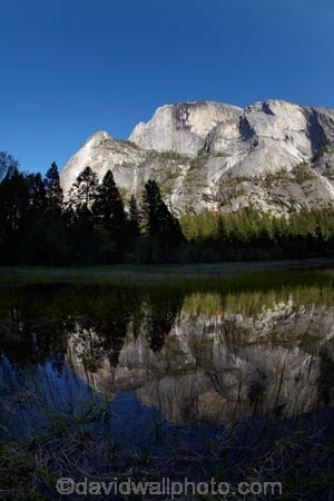 America;American;bluff;bluffs;brook;brooks;CA;California;calm;cliff;cliffs;creek;creeks;forest;forested;forests;granite-dome;Half-Dome;Mirror-Lake;Mirror-Lake-Look-Trail;Mirror-Lake-Loop-Trail;Mirror-Lake-Trail;mountain;mountainous;mountains;national-park;national-parks;placid;quiet;reflected;reflection;reflections;serene;Sierra-Nevada;Sierra-Nevada-foothills;smooth;States;still;stream;streams;Tenaya-Canyon;Tenaya-Creek;Tenaya-River;Tenaya-Stream;tranquil;tree;trees;U.S.A;UN-world-heritage-area;UN-world-heritage-site;UNESCO-World-Heritage-area;UNESCO-World-Heritage-Site;united-nations-world-heritage-area;united-nations-world-heritage-site;United-States;United-States-of-America;USA;valley;valleys;water;West-Coast;West-United-States;West-US;West-USA;Western-United-States;Western-US;Western-USA;world-heritage;world-heritage-area;world-heritage-areas;World-Heritage-Park;World-Heritage-site;World-Heritage-Sites;Yosemite;Yosemite-N.P.;Yosemite-Nat-Pk;Yosemite-National-Park;Yosemite-NP;Yosemite-Valley