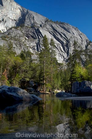 America;American;bluff;bluffs;brook;brooks;CA;California;calm;cliff;cliffs;creek;creeks;forest;forested;forests;granite-dome;Half-Dome;Mirror-Lake;Mirror-Lake-Look-Trail;Mirror-Lake-Loop-Trail;Mirror-Lake-Trail;mountain;mountainous;mountains;national-park;national-parks;placid;quiet;reflected;reflection;reflections;serene;Sierra-Nevada;Sierra-Nevada-foothills;smooth;States;still;stream;streams;Tenaya-Canyon;Tenaya-Creek;Tenaya-River;Tenaya-Stream;tranquil;tree;trees;U.S.A;UN-world-heritage-area;UN-world-heritage-site;UNESCO-World-Heritage-area;UNESCO-World-Heritage-Site;united-nations-world-heritage-area;united-nations-world-heritage-site;United-States;United-States-of-America;USA;valley;valleys;water;West-Coast;West-United-States;West-US;West-USA;Western-United-States;Western-US;Western-USA;world-heritage;world-heritage-area;world-heritage-areas;World-Heritage-Park;World-Heritage-site;World-Heritage-Sites;Yosemite;Yosemite-N.P.;Yosemite-Nat-Pk;Yosemite-National-Park;Yosemite-NP;Yosemite-Valley