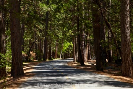 America;American;CA;California;Camp;Camp-Ground;Camp-Grounds;Camp-Site;Camp-Sites;campground;campgrounds;Camping;Camping-Area;Camping-Areas;Camping-Ground;Camping-Grounds;Camping-Site;Camping-Sites;Caravan-Park;Caravan-Parks;forest;forested;forests;Holiday;Holiday-Park;Holiday-Parks;holidays;national-park;national-parks;people;person;road;roads;Sierra-Nevada;Sierra-Nevada-foothills;States;tourism;tourist;tourists;tree;trees;U.S.A;UN-world-heritage-area;UN-world-heritage-site;UNESCO-World-Heritage-area;UNESCO-World-Heritage-Site;united-nations-world-heritage-area;united-nations-world-heritage-site;United-States;United-States-of-America;Upper-Pines-Campground;USA;vacation;vacations;visitor;visitors;West-Coast;West-United-States;West-US;West-USA;Western-United-States;Western-US;Western-USA;world-heritage;world-heritage-area;world-heritage-areas;World-Heritage-Park;World-Heritage-site;World-Heritage-Sites;Yosemite;Yosemite-N.P.;Yosemite-Nat-Pk;Yosemite-National-Park;Yosemite-NP;Yosemite-Valley