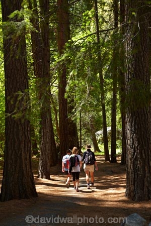 America;American;CA;California;Camp-Curry;families;family;forest;forested;forests;hiker;hikers;hiking-path;hiking-paths;hiking-trail;hiking-trails;national-park;national-parks;path;paths;pathway;pathways;people;person;route;routes;Sierra-Nevada;Sierra-Nevada-foothills;States;tourism;tourist;tourists;track;tracks;trail;trails;tramping-trail;tramping-trails;tree;trees;U.S.A;UN-world-heritage-area;UN-world-heritage-site;UNESCO-World-Heritage-area;UNESCO-World-Heritage-Site;united-nations-world-heritage-area;united-nations-world-heritage-site;United-States;United-States-of-America;Upper-Pines-Campground;USA;visitor;visitors;walker;walkers;walking-path;walking-paths;walking-trail;walking-trails;walkway;walkways;West-Coast;West-United-States;West-US;West-USA;Western-United-States;Western-US;Western-USA;world-heritage;world-heritage-area;world-heritage-areas;World-Heritage-Park;World-Heritage-site;World-Heritage-Sites;Yosemite;Yosemite-N.P.;Yosemite-Nat-Pk;Yosemite-National-Park;Yosemite-NP;Yosemite-Valley
