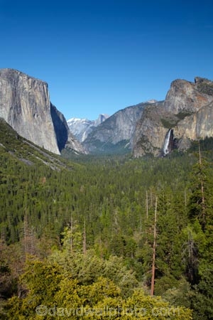 America;American;bluff;bluffs;Bridal-Veil-Fall;Bridal-Veil-Falls;Bridalveil-Creek;Bridalveil-Fall;Bridalveil-Falls;CA;California;cascade;cascades;cliff;cliffs;El-Capitan;El-Capitan-Granite;fall;falls;forest;forested;forests;gorge;gorges;granite;granite-dome;granite-monolith;Half-Dome;monoliths;mountain;mountainous;Mountains;national-park;national-parks;natural;nature;rock-formation;rock-formations;scene;scenic;Sierra-Nevada;Sierra-Nevada-foothills;States;tree;trees;Tunnel-View;U.S.A;UN-world-heritage-area;UN-world-heritage-site;UNESCO-World-Heritage-area;UNESCO-World-Heritage-Site;united-nations-world-heritage-area;united-nations-world-heritage-site;United-States;United-States-of-America;USA;valley;valleys;water;water-fall;water-falls;waterfall;waterfalls;West-Coast;West-United-States;West-US;West-USA;Western-United-States;Western-US;Western-USA;wet;world-heritage;world-heritage-area;world-heritage-areas;World-Heritage-Park;World-Heritage-site;World-Heritage-Sites;Yosemite;Yosemite-N.P.;Yosemite-Nat-Pk;Yosemite-National-Park;Yosemite-NP;Yosemite-Valley