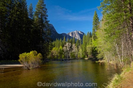 America;American;brook;brooks;CA;California;calm;creek;creeks;forest;forested;forests;gorge;gorges;hiking-path;hiking-paths;hiking-trail;hiking-trails;Merced-River;mountain;mountainous;mountains;national-park;national-parks;path;paths;pathway;pathways;placid;quiet;reflected;reflection;reflections;river;rivers;route;routes;serene;Sierra-Nevada;Sierra-Nevada-foothills;smooth;States;still;stream;streams;track;tracks;trail;trails;tramping-trail;tramping-trails;tranquil;tree;trees;U.S.A;UN-world-heritage-area;UN-world-heritage-site;UNESCO-World-Heritage-area;UNESCO-World-Heritage-Site;united-nations-world-heritage-area;united-nations-world-heritage-site;United-States;United-States-of-America;USA;valley;valleys;walking-path;walking-paths;walking-trail;walking-trails;walkway;walkways;water;West-Coast;West-United-States;West-US;West-USA;Western-United-States;Western-US;Western-USA;world-heritage;world-heritage-area;world-heritage-areas;World-Heritage-Park;World-Heritage-site;World-Heritage-Sites;Yosemite;Yosemite-Falls;Yosemite-N.P.;Yosemite-Nat-Pk;Yosemite-National-Park;Yosemite-NP;Yosemite-Point;Yosemite-Valley