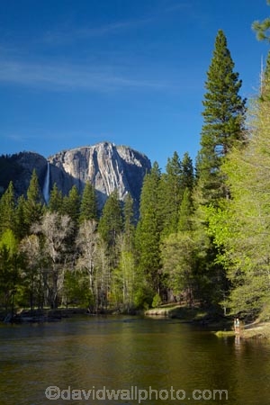 America;American;brook;brooks;CA;California;calm;children;creek;creeks;forest;forested;forests;gorge;gorges;hiking-path;hiking-paths;hiking-trail;hiking-trails;Merced-River;mountain;mountainous;mountains;national-park;national-parks;path;paths;pathway;pathways;people;person;placid;quiet;reflected;reflection;reflections;river;rivers;route;routes;serene;Sierra-Nevada;Sierra-Nevada-foothills;smooth;States;still;stream;streams;tourism;tourist;tourists;track;tracks;trail;trails;tramping-trail;tramping-trails;tranquil;tree;trees;U.S.A;UN-world-heritage-area;UN-world-heritage-site;UNESCO-World-Heritage-area;UNESCO-World-Heritage-Site;united-nations-world-heritage-area;united-nations-world-heritage-site;United-States;United-States-of-America;USA;valley;valleys;visitor;visitors;walking-path;walking-paths;walking-trail;walking-trails;walkway;walkways;water;West-Coast;West-United-States;West-US;West-USA;Western-United-States;Western-US;Western-USA;world-heritage;world-heritage-area;world-heritage-areas;World-Heritage-Park;World-Heritage-site;World-Heritage-Sites;Yosemite;Yosemite-Falls;Yosemite-N.P.;Yosemite-Nat-Pk;Yosemite-National-Park;Yosemite-NP;Yosemite-Point;Yosemite-Valley