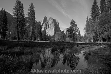 America;American;b-amp;-w;b-and-w;bamp;w;black-amp;-white;black-and-white;black_and_white;bluff;bluffs;CA;California;calm;Cathedral-Rocks;cliff;cliffs;field;fields;forest;forested;forests;grass;gray;grey;Higher-Cathedral-Rock;meadow;meadows;Middle-Cathedral-Rock;monochromatic;monochrome;monochromic;monochromous;mountain;mountainous;mountains;national-park;national-parks;paddock;paddocks;pasture;pastures;placid;pond;ponds;pool;pools;puddle;puddles;quiet;reflected;reflection;reflections;serene;Sierra-Nevada;Sierra-Nevada-foothills;smooth;States;still;tranquil;tree;trees;U.S.A;UN-world-heritage-area;UN-world-heritage-site;UNESCO-World-Heritage-area;UNESCO-World-Heritage-Site;united-nations-world-heritage-area;united-nations-world-heritage-site;United-States;United-States-of-America;USA;valley;valleys;water;West-Coast;West-United-States;West-US;West-USA;Western-United-States;Western-US;Western-USA;world-heritage;world-heritage-area;world-heritage-areas;World-Heritage-Park;World-Heritage-site;World-Heritage-Sites;Yosemite;Yosemite-N.P.;Yosemite-Nat-Pk;Yosemite-National-Park;Yosemite-NP;Yosemite-Valley