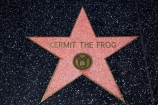 America;CA;California;entertainment-industry;fame;famous;Hollywood-Blvd;Hollywood-Boulevard;Hollywood-Walk-of-Fame;Kermit-the-Frog;Kermit-the-Frog-character;Kermit-the-Frog-star;L.A.;LA;Los-Angeles;muppet;muppets;star;stars;States;U.S.A;United-States;United-States-of-America;USA;West-Coast;West-United-States;West-US;West-USA;Western-United-States;Western-US;Western-USA