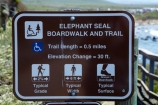 America;American;animal;animals;Big-Sur;CA;California;California-1;California-Central-Coast;California-State-Route-1;Central-Coast;coast;coastal;coasts;crowd;crowded;crowds;elephant-seal;Elephant-seal-colony;elephant-seals;mammal;mammals;marine-mammal;marine-mammals;Mirounga-angustirostris;Northern-Elephant-Seal;Pacific-Coast-Highway;Pacific-Coast-Road;Piedras-Blancas;Piedras-Blancas-elephant-seal-rookery;Piedras-Blancas-rookery;Point-Piedras-Blancas;rookeries;rookery;San-Simeon;seal;Seal-colony;Seal-rookery;seals;sign;signs;States;The-Big-Sur;The-Central-Coast;U.S.A;United-States;United-States-of-America;USA;West-Coast;West-United-States;West-US;West-USA;Western-United-States;Western-US;Western-USA;wildlife