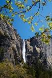 America;American;bluff;bluffs;Bridal-Veil-Fall;Bridal-Veil-Falls;Bridalveil-Creek;Bridalveil-Fall;Bridalveil-Falls;CA;California;cascade;cascades;cliff;cliffs;fall;falls;forest;forested;forests;national-park;national-parks;natural;nature;scene;scenic;Sierra-Nevada;Sierra-Nevada-foothills;States;tree;trees;U.S.A;UN-world-heritage-area;UN-world-heritage-site;UNESCO-World-Heritage-area;UNESCO-World-Heritage-Site;united-nations-world-heritage-area;united-nations-world-heritage-site;United-States;United-States-of-America;USA;water;water-fall;water-falls;waterfall;waterfalls;West-Coast;West-United-States;West-US;West-USA;Western-United-States;Western-US;Western-USA;wet;world-heritage;world-heritage-area;world-heritage-areas;World-Heritage-Park;World-Heritage-site;World-Heritage-Sites;Yosemite;Yosemite-N.P.;Yosemite-Nat-Pk;Yosemite-National-Park;Yosemite-NP;Yosemite-Valley