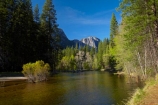 America;American;brook;brooks;CA;California;calm;creek;creeks;forest;forested;forests;gorge;gorges;hiking-path;hiking-paths;hiking-trail;hiking-trails;Merced-River;mountain;mountainous;mountains;national-park;national-parks;path;paths;pathway;pathways;placid;quiet;reflected;reflection;reflections;river;rivers;route;routes;serene;Sierra-Nevada;Sierra-Nevada-foothills;smooth;States;still;stream;streams;track;tracks;trail;trails;tramping-trail;tramping-trails;tranquil;tree;trees;U.S.A;UN-world-heritage-area;UN-world-heritage-site;UNESCO-World-Heritage-area;UNESCO-World-Heritage-Site;united-nations-world-heritage-area;united-nations-world-heritage-site;United-States;United-States-of-America;USA;valley;valleys;walking-path;walking-paths;walking-trail;walking-trails;walkway;walkways;water;West-Coast;West-United-States;West-US;West-USA;Western-United-States;Western-US;Western-USA;world-heritage;world-heritage-area;world-heritage-areas;World-Heritage-Park;World-Heritage-site;World-Heritage-Sites;Yosemite;Yosemite-Falls;Yosemite-N.P.;Yosemite-Nat-Pk;Yosemite-National-Park;Yosemite-NP;Yosemite-Point;Yosemite-Valley