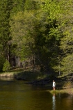 America;American;brook;brooks;CA;California;calm;children;creek;creeks;forest;forested;forests;hiking-path;hiking-paths;hiking-trail;hiking-trails;Merced-River;national-park;national-parks;path;paths;pathway;pathways;people;person;placid;quiet;reflected;reflection;reflections;river;rivers;route;routes;serene;Sierra-Nevada;Sierra-Nevada-foothills;smooth;States;still;stream;streams;tourism;tourist;tourists;track;tracks;trail;trails;tramping-trail;tramping-trails;tranquil;tree;trees;U.S.A;UN-world-heritage-area;UN-world-heritage-site;UNESCO-World-Heritage-area;UNESCO-World-Heritage-Site;united-nations-world-heritage-area;united-nations-world-heritage-site;United-States;United-States-of-America;USA;visitor;visitors;walking-path;walking-paths;walking-trail;walking-trails;walkway;walkways;water;West-Coast;West-United-States;West-US;West-USA;Western-United-States;Western-US;Western-USA;world-heritage;world-heritage-area;world-heritage-areas;World-Heritage-Park;World-Heritage-site;World-Heritage-Sites;Yosemite;Yosemite-N.P.;Yosemite-Nat-Pk;Yosemite-National-Park;Yosemite-NP;Yosemite-Valley