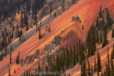 America;American-Southwest;Anvil-Mountai;Anvil-Mt;Anvil-Mtn;brown,-red-and-yellow-iron-oxide-colors;CO;Colorado;Colorado-Plateau;Colorado-Plateau-Province;Colorado-Scenic-and-Historic-Byway-System;conifer;conifers;forest;forests;iron-ore-rock;iron-ore-rocks;iron-oxide;Million-Dollar-Highway;Mount-Anvil;Mt-Anvil;reddish;Rocky-Mountains;San-Juan-County;San-Juan-Mountains;San-Juan-Skyway;San-Juan-Skyway-Scenic-Byway;Silverton;South-west-United-States;South-west-US;South-west-USA;South-western-United-States;South-western-US;South-western-USA;Southwest-United-States;Southwest-US;Southwest-USA;Southwestern-United-States;Southwestern-US;Southwestern-USA;States;the-Southwest;tree;trees;U.S.-Highway-550;U.S.A;United-States;United-States-of-America;US-550;USA;wood;woods