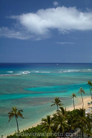 America;American;Army-Beach;beach;beaches;coast;coastal;coastline;coral-reef;coral-reefs;Fort-DeRussy-Beach;Fort-DeRussy-Beach-Park;Fort-DeRussy-Military-Reservation;Fort-DeRussy-Park;Hawaii;Hawaiian-Islands;HI;holiday;holidays;Honolulu;hot;Island-of-Oahu;Oahu;Oahu;Oahu-Island;ocean;oceans;Pacific;palm;palm-tree;palm-trees;palms;reef;reefs;sand;sandy;sea;seas;shore;shoreline;State-of-Hawaii;States;summer;tropical;tropical-beach;tropical-beaches;tropical-island;tropical-islands;tropical-reef;tropical-reefs;tropics;U.S.A;United-States;United-States-of-America;USA;vacation;vacations;Waikiki;Waikiki-Beach