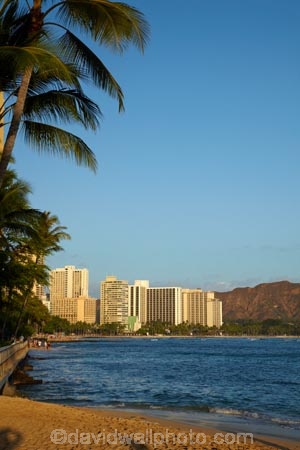 accommodation;America;American;apartment;apartments;beach;beaches;cities;city;cityscape;cityscapes;coast;coastal;coastline;condo;condominium;condominiums;condos;Hawaii;Hawaiian-Islands;HI;high-rise;high-rises;high_rise;high_rises;highrise;highrises;holiday;holiday-accommodation;Holidays;Honolulu;hot;hotel;hotels;Island-of-Oahu;multi_storey;multi_storied;multistorey;multistoried;Oahu;Oahu;Oahu-Island;ocean;oceans;Pacific;palm;palm-tree;palm-trees;palms;residential;residential-apartment;residential-apartments;residential-building;residential-buildings;sand;sandy;sea;seas;shore;shoreline;State-of-Hawaii;States;summer;tower-block;tower-blocks;tropical;tropical-beach;tropical-beaches;tropical-island;tropical-islands;tropics;U.S.A;United-States;United-States-of-America;USA;vacation;vacations;Waikiki;Waikiki-Bay;Waikiki-Beach