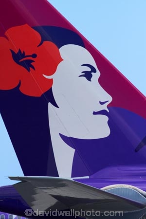 Aeroplane;Aeroplanes;Aircraft;Aircrafts;airline;airliner;airliners;airlines;Airplane;Airplanes;aloha;altitude;America;American;aviation;Flight;Flights;Flying;Hawaii;Hawaiian-Airlines;Hawaiian-Airlines-plane;Hawaiian-Airlines-planes;Hawaiian-Islands;HI;holidays;Honolulu;Honolulu-Airport;Honolulu-International-Airport;icon;icons;Island-of-Oahu;jet;jet-plane;jet-planes;jets;Oahu;Oahu;Oahu-Island;Pacific;passenger-plane;passenger-planes;Plane;plane-tail;plane-tails;Planes;State-of-Hawaii;States;symbol;symbols;tail-tails;Tails;Tourism;Transport;Transportation;Transports;Travel;Traveling;Travelling;Trip;Trips;U.S.A;United-States;United-States-of-America;USA;Vacation;Vacations