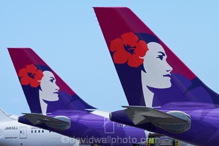 Aeroplane;Aeroplanes;Aircraft;Aircrafts;airline;airliner;airliners;airlines;Airplane;Airplanes;aloha;altitude;America;American;aviation;Flight;Flights;Flying;Hawaii;Hawaiian-Airlines;Hawaiian-Airlines-plane;Hawaiian-Airlines-planes;Hawaiian-Islands;HI;holidays;Honolulu;Honolulu-Airport;Honolulu-International-Airport;icon;icons;Island-of-Oahu;jet;jet-plane;jet-planes;jets;Oahu;Oahu;Oahu-Island;Pacific;passenger-plane;passenger-planes;Plane;plane-tail;plane-tails;Planes;State-of-Hawaii;States;symbol;symbols;tail-tails;Tails;Tourism;Transport;Transportation;Transports;Travel;Traveling;Travelling;Trip;Trips;U.S.A;United-States;United-States-of-America;USA;Vacation;Vacations