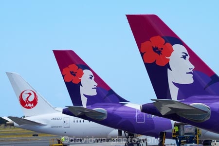Aeroplane;Aeroplanes;Aircraft;Aircrafts;airline;airliner;airliners;airlines;Airplane;Airplanes;aloha;altitude;America;American;aviation;Flight;Flights;Flying;Hawaii;Hawaiian-Airlines;Hawaiian-Airlines-plane;Hawaiian-Airlines-planes;Hawaiian-Islands;HI;holidays;Honolulu;Honolulu-Airport;Honolulu-International-Airport;icon;icons;Island-of-Oahu;Japan-Airlines;jet;jet-plane;jet-planes;jets;Oahu;Oahu;Oahu-Island;Pacific;passenger-plane;passenger-planes;Plane;plane-tail;plane-tails;Planes;State-of-Hawaii;States;symbol;symbols;tail-tails;Tails;Tourism;Transport;Transportation;Transports;Travel;Traveling;Travelling;Trip;Trips;U.S.A;United-States;United-States-of-America;USA;Vacation;Vacations