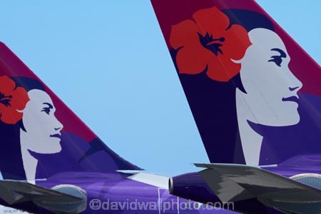 Aeroplane;Aeroplanes;Aircraft;Aircrafts;airline;airliner;airliners;airlines;Airplane;Airplanes;aloha;altitude;America;American;aviation;Flight;Flights;Flying;Hawaii;Hawaiian-Airlines;Hawaiian-Airlines-plane;Hawaiian-Airlines-planes;Hawaiian-Islands;HI;holidays;Honolulu;Honolulu-Airport;Honolulu-International-Airport;icon;icons;Island-of-Oahu;jet;jet-plane;jet-planes;jets;Oahu;Oahu;Oahu-Island;Pacific;passenger-plane;passenger-planes;Plane;plane-tail;plane-tails;Planes;State-of-Hawaii;States;symbol;symbols;tail-tails;Tails;Tourism;Transport;Transportation;Transports;Travel;Traveling;Travelling;Trip;Trips;U.S.A;United-States;United-States-of-America;USA;Vacation;Vacations