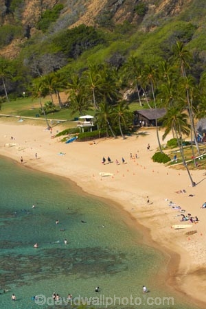America;American;beach;beaches;coast;coastal;coastline;coastlines;coral-reef;coral-reefs;corals;dive-site;dive-sites;diving;ecosystem;environment;Hanauma;Hanauma-Bay;Hanauma-Bay-Beach;Hanauma-Bay-Nature-Preserve;Hanauma-Bay-Nature-Reserve;Hanauma-Bay-State-Park;Hanauma-Beach;Hanauma-Crater;Hawaii;Hawaiian-Islands;HI;Island-of-Oahu;leisure;marine;marine-environment;marine-life;marinelife;Oahu;Oahu;Oahu-Island;Ocean;oceanlife;Oceans;Outdoor;Outdoors;Outside;Pacific;palm;palm-tree;palm-trees;palms;people;person;Persons;Recreation;reef;reefs;sand;sandy;sea;sealife;seas;snorkelers;snorkeling;snorkellers;snorkelling;snorleler;snorleller;State-of-Hawaii;States;tourisim;tourism;tourist;tourists;tropical-beach;tropical-beaches;tropical-island;tropical-islands;tropical-reef;tropical-reefs;U.S.A;United-States;United-States-of-America;USA;visitor