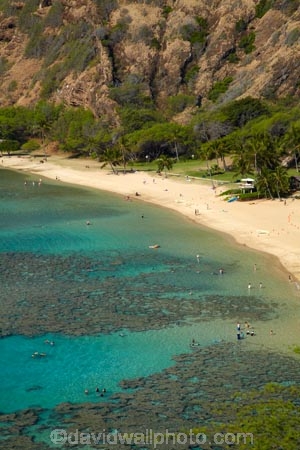America;American;beach;beaches;coast;coastal;coastline;coastlines;coral-reef;coral-reefs;corals;dive-site;dive-sites;diving;ecosystem;environment;Hanauma;Hanauma-Bay;Hanauma-Bay-Beach;Hanauma-Bay-Nature-Preserve;Hanauma-Bay-Nature-Reserve;Hanauma-Bay-State-Park;Hanauma-Beach;Hanauma-Crater;Hawaii;Hawaiian-Islands;HI;Island-of-Oahu;leisure;marine;marine-environment;marine-life;marinelife;Oahu;Oahu;Oahu-Island;Ocean;oceanlife;Oceans;Outdoor;Outdoors;Outside;Pacific;people;person;Persons;Recreation;reef;reefs;sand;sandy;sea;seas;State-of-Hawaii;States;tourisim;tourism;tourist;tourists;tropical-beach;tropical-beaches;tropical-island;tropical-islands;tropical-reef;tropical-reefs;U.S.A;United-States;United-States-of-America;USA;visitor;volcanic-crater