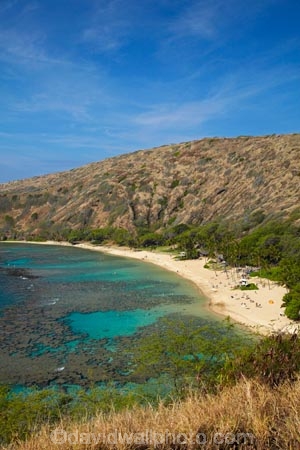 America;American;beach;beaches;coast;coastal;coastline;coastlines;coral-reef;coral-reefs;corals;dive-site;dive-sites;diving;ecosystem;environment;Hanauma;Hanauma-Bay;Hanauma-Bay-Beach;Hanauma-Bay-Nature-Preserve;Hanauma-Bay-Nature-Reserve;Hanauma-Bay-State-Park;Hanauma-Beach;Hanauma-Crater;Hawaii;Hawaiian-Islands;HI;Island-of-Oahu;leisure;marine;marine-environment;marine-life;marinelife;Oahu;Oahu;Oahu-Island;Ocean;oceanlife;Oceans;Outdoor;Outdoors;Outside;Pacific;people;person;Persons;Recreation;reef;reefs;sand;sandy;sea;seas;State-of-Hawaii;States;tourisim;tourism;tourist;tourists;tropical-beach;tropical-beaches;tropical-island;tropical-islands;tropical-reef;tropical-reefs;U.S.A;United-States;United-States-of-America;USA;visitor;volcanic-crater