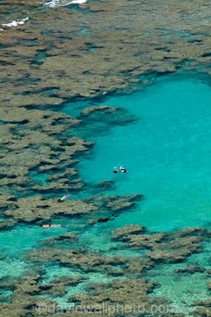 America;American;coral-reef;coral-reefs;corals;dive-site;dive-sites;diving;ecosystem;environment;Hanauma;Hanauma-Bay;Hanauma-Bay-Nature-Preserve;Hanauma-Bay-Nature-Reserve;Hanauma-Bay-State-Park;Hanauma-Crater;Hawaii;Hawaiian-Islands;HI;Island-of-Oahu;leisure;marine;marine-environment;marine-life;marinelife;Oahu;Oahu;Oahu-Island;Ocean;oceanlife;Oceans;Outdoor;Outdoors;Outside;Pacific;people;person;Persons;Recreation;reef;reefs;sea;sealife;seas;snorkelers;snorkeling;snorkellers;snorkelling;snorleler;snorleller;State-of-Hawaii;States;tourisim;tourism;tourist;tourists;tropical-beach;tropical-beaches;tropical-island;tropical-islands;tropical-reef;tropical-reefs;U.S.A;United-States;United-States-of-America;USA;visitor