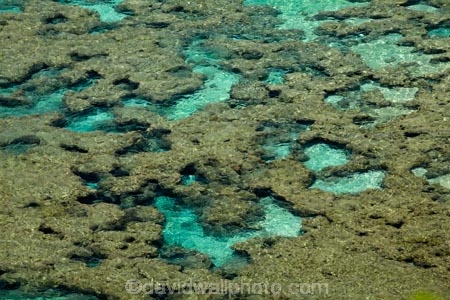America;American;coral-reef;coral-reefs;corals;dive-site;dive-sites;diving;ecosystem;environment;Hanauma;Hanauma-Bay;Hanauma-Bay-Nature-Preserve;Hanauma-Bay-Nature-Reserve;Hanauma-Bay-State-Park;Hanauma-Crater;Hawaii;Hawaiian-Islands;HI;Island-of-Oahu;marine;marine-environment;marine-life;marinelife;Oahu;Oahu;Oahu-Island;Ocean;oceanlife;Oceans;Outdoor;Outdoors;Outside;Pacific;reef;reefs;sea;sealife;seas;State-of-Hawaii;States;tourisim;tourism;tropical-beach;tropical-beaches;tropical-island;tropical-islands;tropical-reef;tropical-reefs;U.S.A;United-States;United-States-of-America;USA