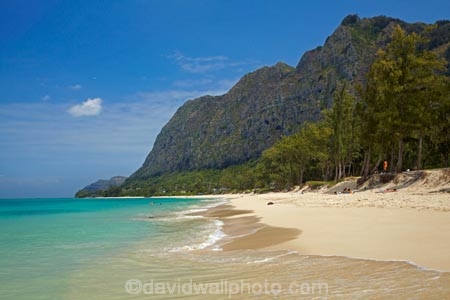 America;American;beach;beaches;coast;coastal;coastline;Hawaii;Hawaiian-Islands;HI;holiday;holidays;hot;Island-of-Oahu;Oahu;Oahu;Oahu-Island;ocean;oceans;Pacific;people;person;sand;sandy;sea;seas;shore;shoreline;State-of-Hawaii;States;summer;surf;tourism;tourist;tourists;tropical;tropical-beach;tropical-beaches;tropical-island;tropical-islands;tropics;U.S.A;United-States;United-States-of-America;USA;vacation;vacations;visitor;visitors;Waimanalo-Beach;Waimanalo-Beach-Park;wave;waves