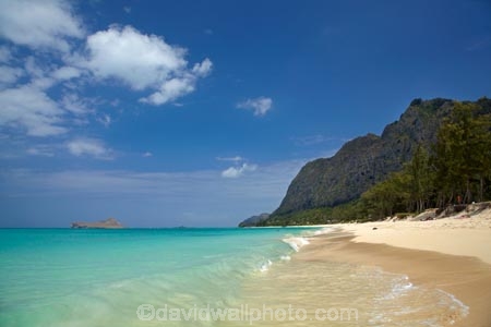 America;American;beach;beaches;coast;coastal;coastline;Hawaii;Hawaiian-Islands;HI;holiday;holidays;hot;Island-of-Oahu;Oahu;Oahu;Oahu-Island;ocean;oceans;Pacific;sand;sandy;sea;seas;shore;shoreline;State-of-Hawaii;States;summer;surf;tropical;tropical-beach;tropical-beaches;tropical-island;tropical-islands;tropics;U.S.A;United-States;United-States-of-America;USA;vacation;vacations;Waimanalo-Beach;Waimanalo-Beach-Park;wave;waves