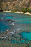 America;American;beach;beaches;coast;coastal;coastline;coastlines;coral-reef;coral-reefs;corals;dive-site;dive-sites;diving;ecosystem;environment;Hanauma;Hanauma-Bay;Hanauma-Bay-Beach;Hanauma-Bay-Nature-Preserve;Hanauma-Bay-Nature-Reserve;Hanauma-Bay-State-Park;Hanauma-Beach;Hanauma-Crater;Hawaii;Hawaiian-Islands;HI;Island-of-Oahu;leisure;marine;marine-environment;marine-life;marinelife;Oahu;Oahu;Oahu-Island;Ocean;oceanlife;Oceans;Outdoor;Outdoors;Outside;Pacific;people;person;Persons;Recreation;reef;reefs;sand;sandy;sea;sealife;seas;snorkelers;snorkeling;snorkellers;snorkelling;snorleler;snorleller;State-of-Hawaii;States;tourisim;tourism;tourist;tourists;tropical-beach;tropical-beaches;tropical-island;tropical-islands;tropical-reef;tropical-reefs;U.S.A;United-States;United-States-of-America;USA;visitor