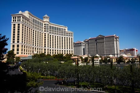 America;American;Bellagio;Bellagio-Casino;Bellagio-Hotel;Bellagio-Resort;Caesars-Palace-Casino;Caesars-Palace-Hotel;Caesars-Palace-Resort;casino;casinos;City-of-Las-Vegas;Clark-County;gambling-casino;gambling-casinos;hotel;hotels;Las-Vegas;Las-Vegas-Boulevard;Las-Vegas-Strip;Los-Vegas;luxury-hotel;luxury-hotels;LV;Nev;Nevada;NV;resort;sin-city;South-Las-Vegas-Boulevard;Southern-Nevada;States;The-Las-Vegas-Strip;The-Strip;U.S.A;United-States;United-States-of-America;USA;Vegas;Vegas-Strip;West-Coast;West-United-States;West-US;West-USA;Western-United-States;Western-US;Western-USA