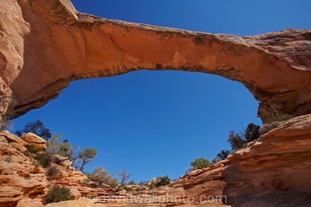 America;American-Southwest;archway;archways;Armstrong-Canyon;Cedar-Mesa-Formation;geological;geology;natural-arch;natural-arches;natural-bridge;natural-bridges;Natural-Bridges-N.M.;Natural-Bridges-National-Monument;natural-geological-formation;natural-geological-formations;Natural-Rock-Arch;natural-rock-arches;natural-rock-archs;natural-rock-bridge;natural-rock-bridges;Owachomo;Owachomo-Bridge;Owachomo-Natural-Bridge;Permian-sandstone;rock;rock-arch;rock-arches;rock-bridge;rock-bridges;rock-formation;rock-formations;rock-outcrop;rock-outcrops;rock-tor;rock-torr;rock-torrs;rock-tors;rocks;Sandstone;South-west-United-States;South-west-US;South-west-USA;South-western-United-States;South-western-US;South-western-USA;Southwest-United-States;Southwest-US;Southwest-USA;Southwestern-United-States;Southwestern-US;Southwestern-USA;States;stone;the-Southwest;U.S.-National-Monument;U.S.-National-Monuments;U.S.A;United-States;United-States-of-America;unusual-natural-feature;unusual-natural-features;unusual-natural-formation;unusual-natural-formations;USA;UT;Utah;wilderness;wilderness-area;wilderness-areas