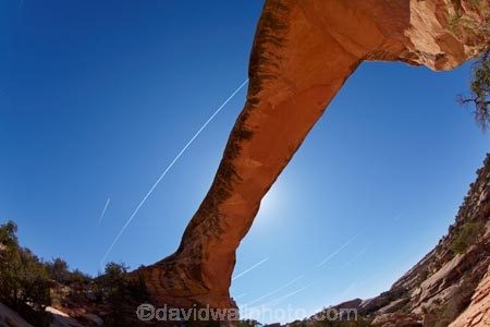 America;American-Southwest;archway;archways;Armstrong-Canyon;Cedar-Mesa-Formation;cirrus-aviaticus;condensation-trail;condensation-trails;contrail;contrails;geological;geology;jet-contrails;jet-trail;jet-trails;Natural-Arch;natural-arches;natural-bridge;natural-bridges;Natural-Bridges-N.M.;Natural-Bridges-National-Monument;natural-geological-formation;natural-geological-formations;Natural-Rock-Arch;natural-rock-arches;natural-rock-archs;natural-rock-bridge;natural-rock-bridges;Owachomo;Owachomo-Bridge;Owachomo-Natural-Bridge;Permian-sandstone;plane-trail;plane-trails;rock;rock-arch;rock-arches;rock-bridge;rock-bridges;rock-formation;rock-formations;rock-outcrop;rock-outcrops;rock-tor;rock-torr;rock-torrs;rock-tors;rocks;Sandstone;sky;South-west-United-States;South-west-US;South-west-USA;South-western-United-States;South-western-US;South-western-USA;Southwest-United-States;Southwest-US;Southwest-USA;Southwestern-United-States;Southwestern-US;Southwestern-USA;States;stone;the-Southwest;U.S.-National-Monument;U.S.-National-Monuments;U.S.A;United-States;United-States-of-America;unusual-natural-feature;unusual-natural-features;unusual-natural-formation;unusual-natural-formations;USA;UT;Utah;vapor-trail;vapor-trails;wilderness;wilderness-area;wilderness-areas