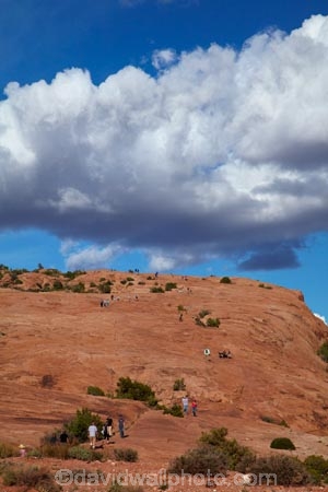 America;American-Southwest;Arches-N.P.;Arches-National-Park;Arches-NP;Delicate-Arch-Hiking-Trail;Delicate-Arch-Track;Delicate-Arch-Trail;Entrada-Sandstone;geological;geology;hiker;hikers;hiking-path;hiking-paths;hiking-track;hiking-tracks;hiking-trail;hiking-trails;Moab;national-park;national-parks;natural-geological-formation;natural-geological-formations;Navajo-Sandstone;path;paths;pathway;pathways;people;person;rock;rock-formation;rock-formations;rock-outcrop;rock-outcrops;rocks;route;routes;sandstone;South-west-United-States;South-west-US;South-west-USA;South-western-United-States;South-western-US;South-western-USA;Southwest-United-States;Southwest-US;Southwest-USA;Southwestern-United-States;Southwestern-US;Southwestern-USA;States;stone;the-Southwest;tourism;tourist;tourists;track;tracks;trail;trails;tramping-track;tramping-tracks;tramping-trail;tramping-trails;U.S.A;United-States;United-States-of-America;US-National-Park;US-National-Parks;USA;UT;Utah;visitor;visitors;walker;walkers;walking-path;walking-paths;walking-track;walking-tracks;walking-trail;walking-trails;walkway;walkways;wilderness;wilderness-area;wilderness-areas