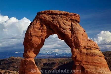 America;American-Southwest;arch;arches;Arches-N.P.;Arches-National-Park;Arches-NP;Delicate-Arch;Entrada-Sandstone;geological;geology;icon;iconic;iconic-landmark;La-Sal-Mountains;La-Sal-Range;landmark;landmarks;lookout;lookouts;Moab;national-park;national-parks;natural-arch;natural-arches;natural-bridge;natural-bridges;natural-geological-formation;natural-geological-formations;Navajo-Sandstone;overlook;rock;rock-arch;rock-arches;rock-bridge;rock-bridges;rock-formation;rock-formations;rocks;Sandstone;South-west-United-States;South-west-US;South-west-USA;South-western-United-States;South-western-US;South-western-USA;Southwest-United-States;Southwest-US;Southwest-USA;Southwestern-United-States;Southwestern-US;Southwestern-USA;States;stone;the-Southwest;U.S.A;United-States;United-States-of-America;unusual-natural-feature;unusual-natural-features;unusual-natural-formation;unusual-natural-formations;US-National-Park;US-National-Parks;USA;UT;Utah;Utah-icon;Utah-icons;Utah-landmark;Utah-landmarks;view;viewpoint;viewpoints;views;wilderness;wilderness-area;wilderness-areas
