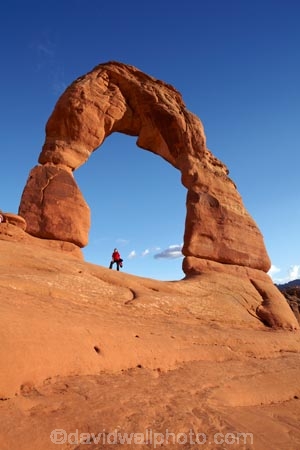 America;American-Southwest;arch;arches;Arches-N.P.;Arches-National-Park;Arches-NP;Delicate-Arch;Entrada-Sandstone;geological;geology;icon;iconic;iconic-landmark;landmark;landmarks;lookout;lookouts;Moab;national-park;national-parks;natural-arch;natural-arches;natural-bridge;natural-bridges;natural-geological-formation;natural-geological-formations;Navajo-Sandstone;overlook;people;person;rock;rock-arch;rock-arches;rock-bridge;rock-bridges;rock-formation;rock-formations;rocks;Sandstone;South-west-United-States;South-west-US;South-west-USA;South-western-United-States;South-western-US;South-western-USA;Southwest-United-States;Southwest-US;Southwest-USA;Southwestern-United-States;Southwestern-US;Southwestern-USA;States;stone;the-Southwest;tourism;tourist;tourists;U.S.A;United-States;United-States-of-America;unusual-natural-feature;unusual-natural-features;unusual-natural-formation;unusual-natural-formations;US-National-Park;US-National-Parks;USA;UT;Utah;Utah-icon;Utah-icons;Utah-landmark;Utah-landmarks;view;viewpoint;viewpoints;views;visitor;visitors;wilderness;wilderness-area;wilderness-areas