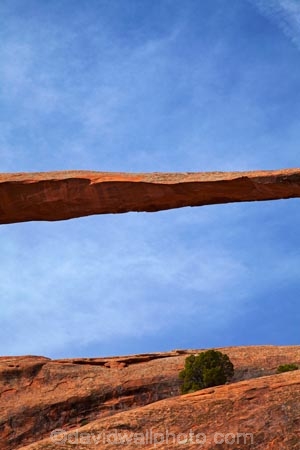 America;American-Southwest;arch;arches;Arches-N.P.;Arches-National-Park;Arches-NP;Devils-Garden;Devils-Garden;Entrada-Sandstone;geological;geology;Landscape-Arch;Moab;national-park;national-parks;natural-arch;natural-arches;natural-bridge;natural-bridges;natural-geological-formation;natural-geological-formations;Navajo-Sandstone;rock;rock-arch;rock-arches;rock-bridge;rock-bridges;rock-formation;rock-formations;rocks;Sandstone;South-west-United-States;South-west-US;South-west-USA;South-western-United-States;South-western-US;South-western-USA;Southwest-United-States;Southwest-US;Southwest-USA;Southwestern-United-States;Southwestern-US;Southwestern-USA;States;stone;the-Southwest;U.S.A;United-States;United-States-of-America;unusual-natural-feature;unusual-natural-features;unusual-natural-formation;unusual-natural-formations;US-National-Park;US-National-Parks;USA;UT;Utah;wilderness;wilderness-area;wilderness-areas;worlds-longest-arch;worlds-longest-natural-arch;worlds-longest-natural-rock-arch;worlds-longest-rock-arch